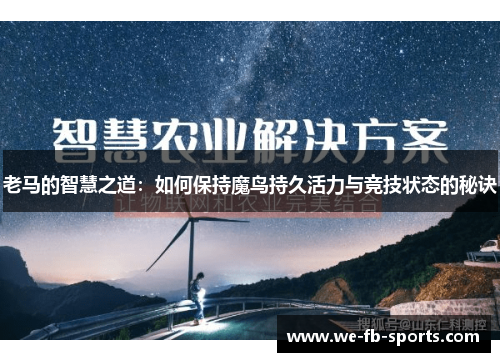 老马的智慧之道：如何保持魔鸟持久活力与竞技状态的秘诀